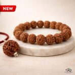 Authentic 5 Mukhi Rudraksha Bead