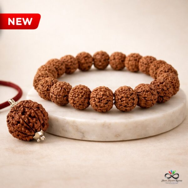 Authentic 5 Mukhi Rudraksha Bead